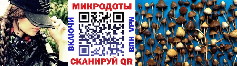 Псилоцибиновые грибы MAGIC MUSHROOMS  цены наркотик  Новочеркасск 